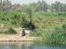 Plavba po Nilu 3